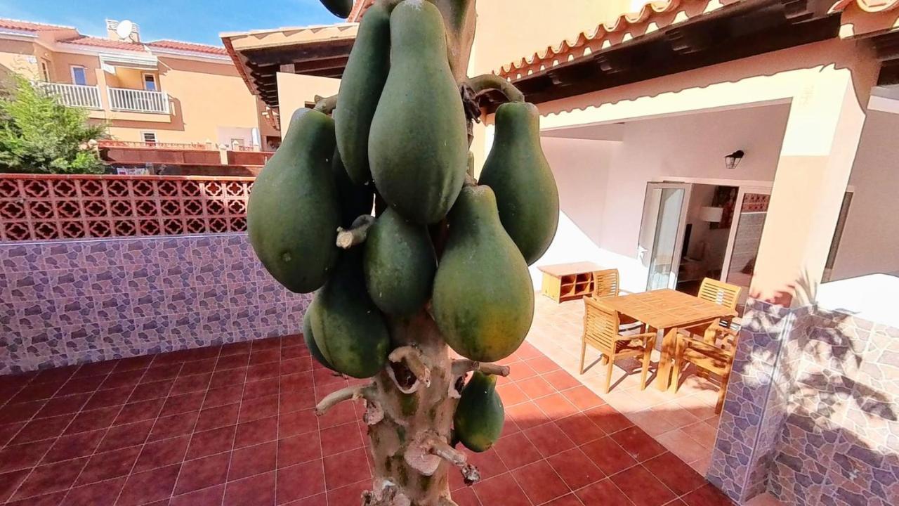 La Casa De La Papaya, By Comfortable Luxury Corralejo Exterior photo